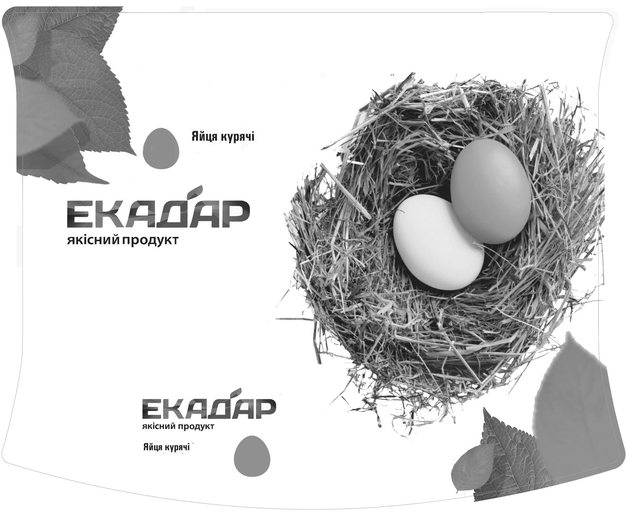 Промисловий зразок «ЕТИКЕТКА», реєстраційний номер №43144