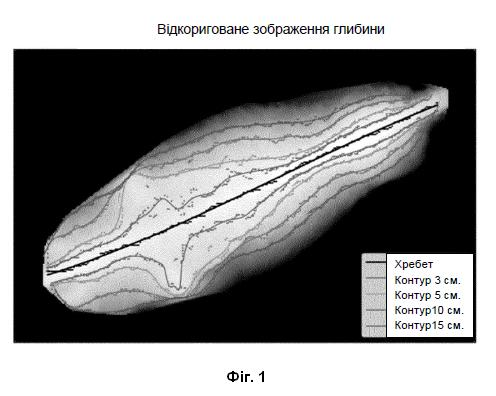 Винахід «СПОСІБ ТА СИСТЕМА ВИЗНАЧЕННЯ ВАГИ ТВАРИНИ НА ОСНОВІ 3D ВІЗУАЛІЗАЦІЇ», патент №130972