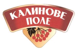 Промисловий зразок «1. ЛОГОТИП», реєстраційний номер №48449