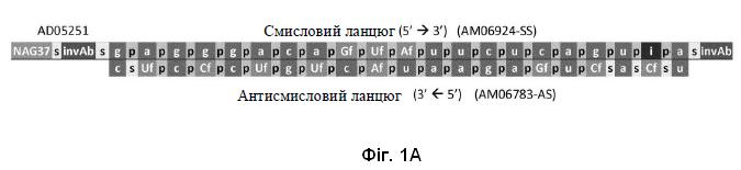 Винахід «РНКі-АГЕНТ І КОМПОЗИЦІЯ ДЛЯ ІНГІБУВАННЯ ЕКСПРЕСІЇ АПОЛІПОПРОТЕЇНУ C-III (APOC3)», патент №130735